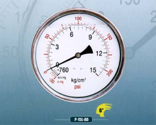 Liquid Filled Pressure Gauge