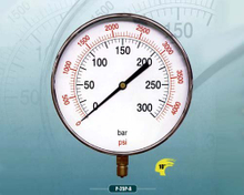 Standard Dry Pressure Gauge