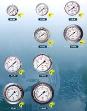 Liquid Filled Pressure Gauge